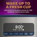 Mr. Coffee® 12 Cup Coffee Maker, Programmable Coffee Maker with Strong Brew and Iced Coffee Brew Settings, Small Batch Setting for 1 to 4 Cups, Abyss Blue