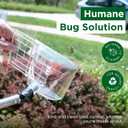 Bug Catcher Container & Extendable Stainless Steel Stick | See-Through Insect Trap for Spiders, Ants, Lizards | Humane Bug Catcher for Home | Educational Tool for Kids & Adults