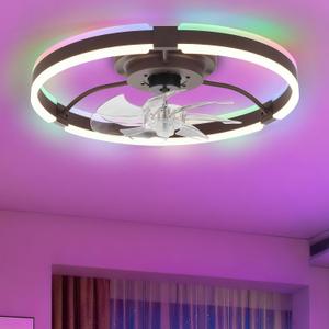 20" Flush Mount Ceiling Fan With Lights Enclosed 3CCT LED RGB, Mini