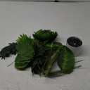 Der Rose 28'' Artificial Palm Tree Tall Fake Tropical Faux Trees Indoor and Outdoor for Home Bathroom Porch Outside Patio Decor (White Pot)