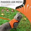 PUPTECK Soft Mesh Cat Vest Harness and Leash Set Puppy Padded Pet Harnesses Escape Proof for Cats, Dogs Rabbits Bunny, Orange, XL