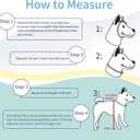Comfortable Adjustable Soft Cone Alternative - Medium Dog & Cat Recovery Collar, Elizabethan Donut Collar, Different Sizes for Small, Medium & Large Pets