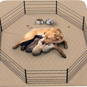 Washable Reusable Dog Pee Pads, 82"x102" Absorbent & Waterproof Puppy Training Pad for Crate, Playpen & Carpet, Large Potty Pads for Dogs, Cats & Small Pets