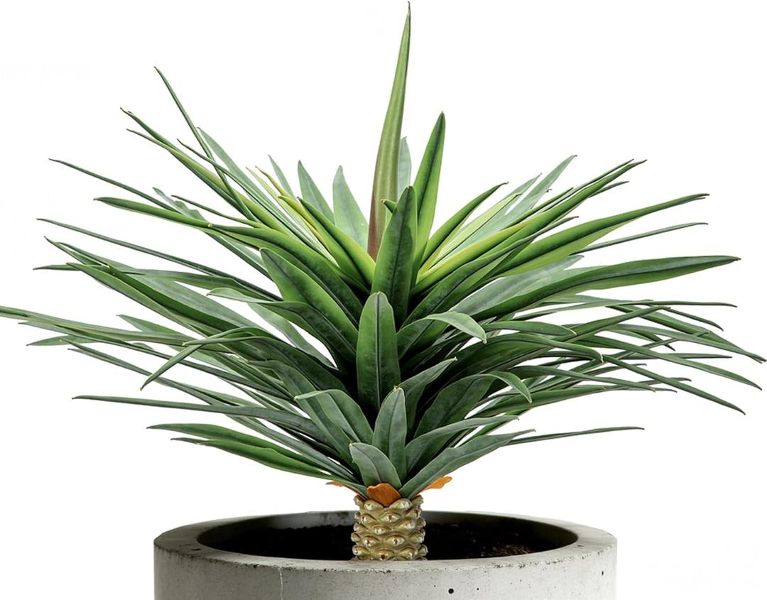 Saki Dcor Artificial Agave Plant - 24 Inch UV Resistant Faux Agave Succulent for Outdoor Patio & Garden - Lifelike Medium Size Unpotted Fake Plant for Indoor Home Decor (Green)