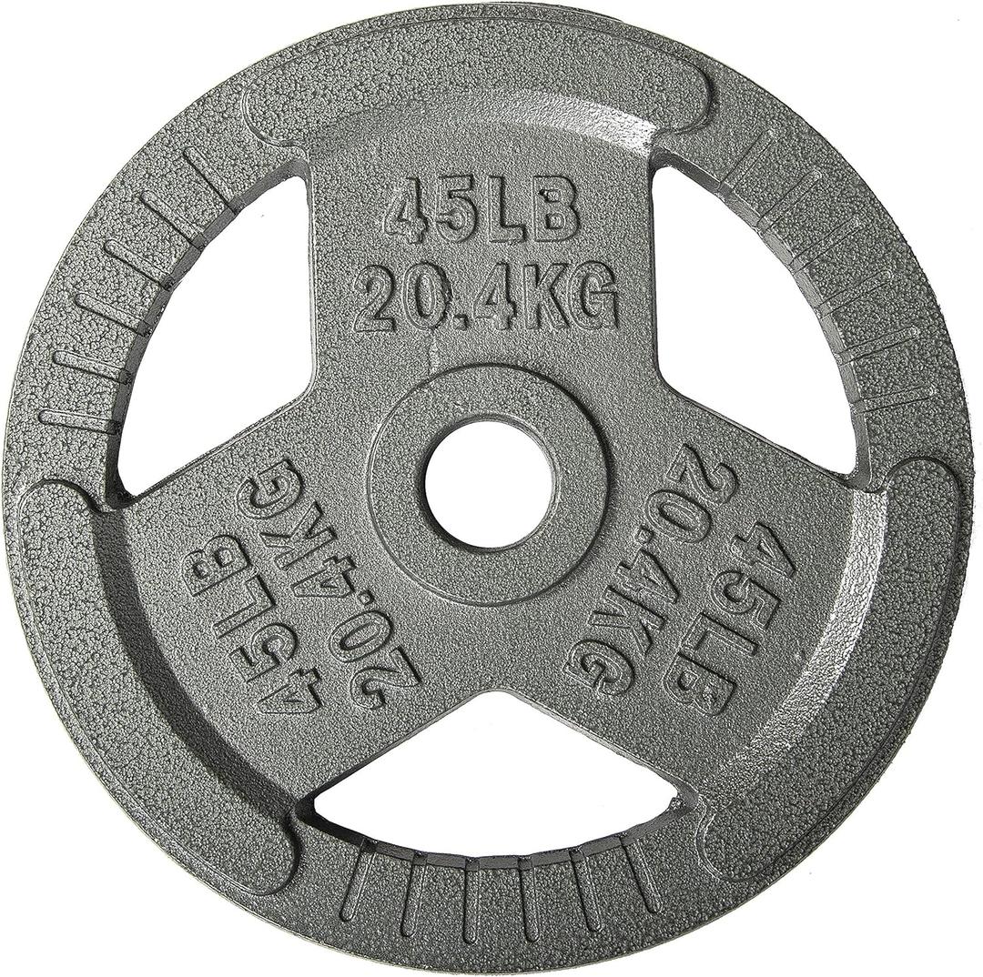 Fitvids Cast Iron Plate Weight Plate for Strength Training and Weightlifting, 2-Inch Center, 45LB (Single)