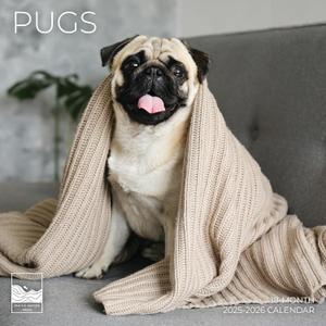 3 x Pugs Wall Calendar 2026 | Dog Calendar | 12" x 24" Open | Giftable | Thick & Sturdy Paper for Organizing & Planning | Pacific Waters Press (Pugs)