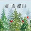 Winter Welcome Kitchen Rug Set of 1 Farmhouse Pine Tree Cardinal Snow Forest Holiday Kitchen Mats Non-slip Floor Mat Low Decorative Profile Christmas Rug for Indoor Home Decor, 17x47 Inch