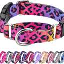 Martingale Collar for Dogs, Adjustable Soft Nylon Dog Collars with Special Design Cute Patterns for Small Medium Large Dog (Gradient leopard, Medium)