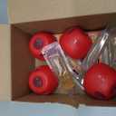 Terro Fruit Fly Traps for Indoors (6 Pack) + 270 Days of Lure Supply