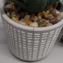 Set of 3 Assorted Small Potted Succulent Plants Fake Aloe String of Pearls Hops Succulents in Gray Geometric Concrete Ceramic Pots for Gifts Modern Home Office Desk Table Indoor Outdoor Greenery Decor