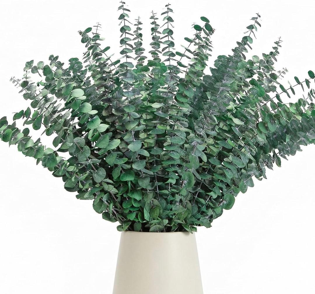 50 Pcs Preserved Eucalyptus Stems, 17 Inch Real Dried Eucalyptus Branches for Shower, Vase Arrangements, Home Decor, Wedding, Bathroom