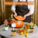 3 Pcs Fall Thanksgiving Pumpkin Mini Potted Wooden Sign Set Pumpkin Plant Pot Tabletop Centerpiece Tiered Tray Decor for Home Gifts Bathroom Shelf Harvest Office Desk Plant Decor