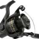 PENN Wrath II Spinning Fishing Reel (4000)