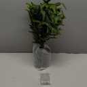 2Ft Artificial Norfolk Pine Tree with Pot, 24" Real Touch Small Christmas Tree, Table Top Christmas Tree for Front Porch Table Indoor Outdoor Decor