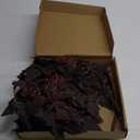 Fall Decor - Fall Decorations for Home - Fall Deals Set of 3 24" Faux Plum Purple Cimicifuga Ramosa Leaves - Fall Stems Centerpieces for Tables Mantle - Autumn Halloween Decoration for Indoor Wedding