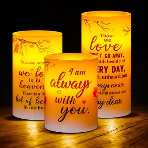 Treela 3 Pcs Memorial Candles Memorial Gifts Cardinal Flameless LED Lights Religious Gifts for Loss of Loved One Sympathy Flameless Candles Prayers Decorations with Timer Warm White Battery Operated