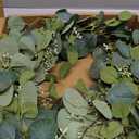 Eucalyptus Wreaths for Front Door 20", Handmade Green Leaves Wreath for Summer, Spring and All Seasons, Greenery Floral Wreath for Wall and Outside