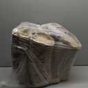 96 Pcs Heart Shaped Egg Carton for Valentine's Day & Easter, Reusable Egg Cartons Holds 3 Eggs, Bulk for Home Kitchen Baking Storage (96)