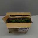 60 Pcs Christmas Artificial Green Pine Needles, Christmas Floral Picks Artificial Holly Red Berry Twig Stem Pine Snowy Cone Branches Garland Bulk for Xmas Tree Craft Holiday Winter (Charming Style)