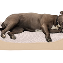 Ultra Plush Luxe Lounger Pet Bed Large 24x36 Cream (Cover)