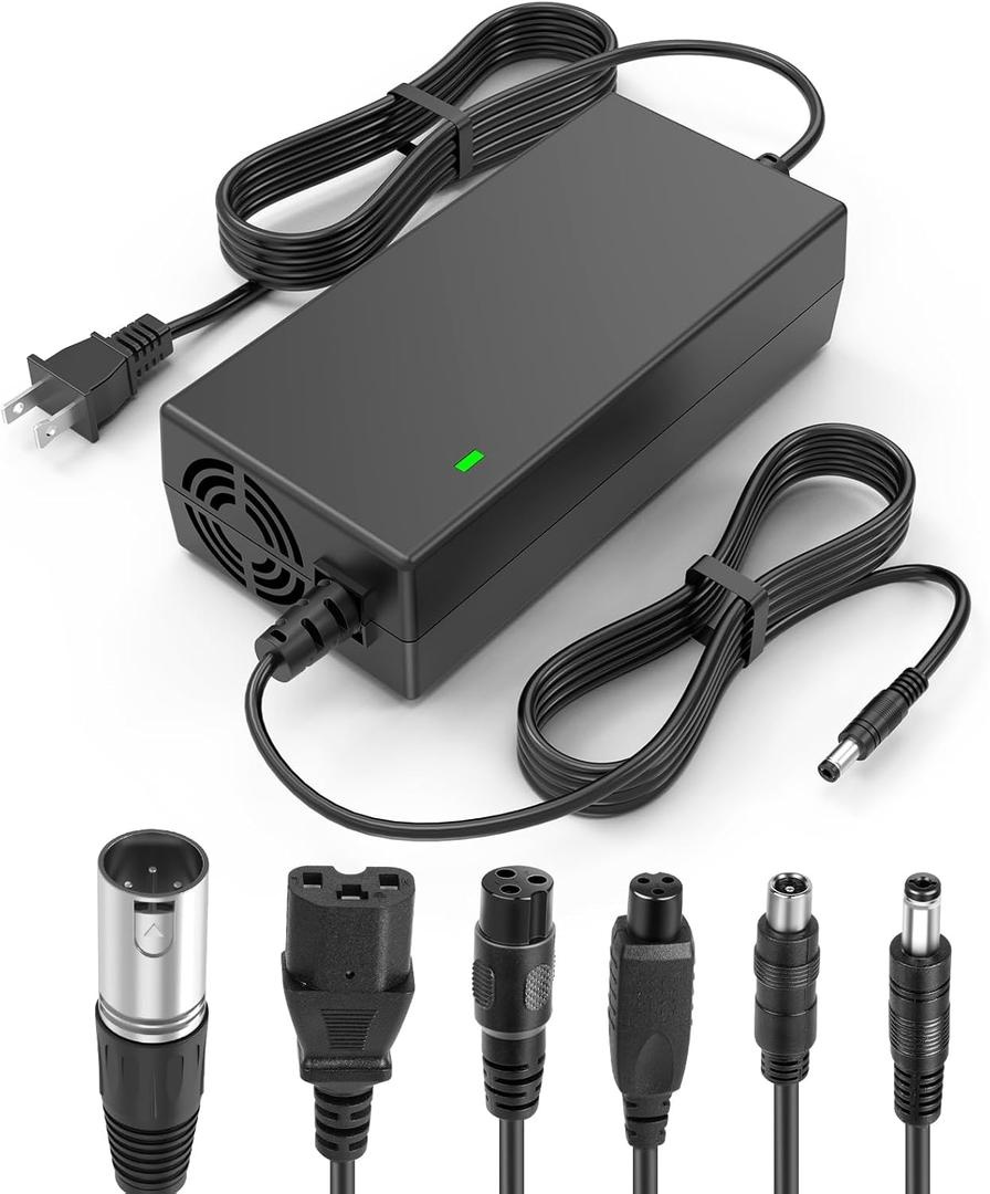 Fancy Buying 7-in-1 Universal 54.6V 2A ebike Charger for 48v Fast and Safe Charging of 13S Li-ion Battery
