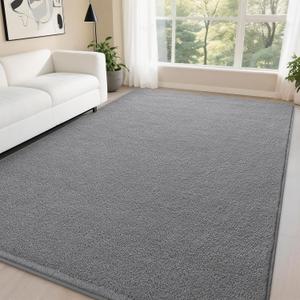 DweIke Modern Area Rugs for Living Room Bedroom, 5x7 Grey Thickened Memory-Foam Throw Carpet, Super Soft Kids Boys Girls Rug, Non-Slip and Washable Carpets for Dorm Nursery Classroom Decor