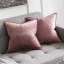 MIULEE Jam Velvet Throw Pillow Covers 20x20 Soft Decorative Solid Square Cushion Cases Pack of 2 Modern Luxury Home Decor for Couch, Sofa, Bedroom