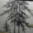 Large Framed Vertical Vintage Pine Tree Wall Art for Living Room, Neutral Sketch Rustic Classic Beige Canvas Artwork for Walls, Nordic Forest Farmhouse Wall Decor for Bedroom Hallway Office, 30x60 In