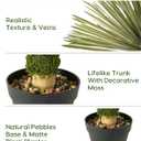 Artificial Agave Plant in Black Pot with Real Stone Pebbles, Large Fake Plants with Fake Green Moss, Faux Yucca Rostrata with Long Sword-Shaped Leaves for Indoor/Outdoor-23 Inches,1 Pack