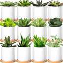 Cindeer 12 Pack Small Succulent Plants Pots 3 Inch Ceramic Flower Planter Pot and Bamboo Tray with Drainage Hole for Succulents Cactus Indoor Garden Decorations, Plant Not Included(White)