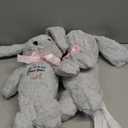 HyDren 2 Pieces Flower Girl Gifts Wedding 10 Inch Bunny Stuffed Animal Will You Be Our Flower Girl Proposal Gifts from Bride for Wedding Proposal Anniversary Party