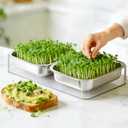 FANHAO Upgraded Visual Seed Sprouter Tray, Stainless Steel Soil-Free Cultivation Germination Tray with Acrylic Base, Healthy Microgreens Growing Kit for Indoors Sprouting Seeds, Grow Grass, Beans