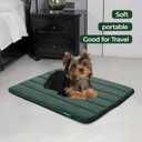 BALANCE Dog Crate Pad, Dog Foam Crate Mat Kennel Pad, Washable Water-Resistant Pet Bed Flat Dogs Cage Mat for Small Dogs (24.0"L x 18.0"W x 0.8"Th, Green)