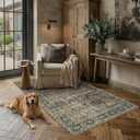 Vintage Area Rug 3x5 Brown Entryway Office Washable Carpet Non Slip Bedroom Indoor Living Room Door Mat Low Pile Traditional Distressed Retro Accent Rug for Dining Room Bathroom Kitchen