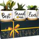 Best Grandma Ever Planters, Best Grandma Gifts from Granddaughter Grandson, Grandmother Gifts Grandma, Best Gifts for Grandma Gifts for Grandma Birthday Gifts, Gift for Grandma Gift Ideas for Grandma