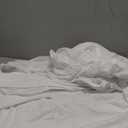 Queen Mattress Protector Waterproof Cover Absorbent Fitted Sheet up - 18'' Deep Pocket Mattress Cover Queen Size Bed Sheets, Terry Machine Wash Protection Mattress Protector, White