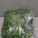 CQURE 24 Pack 168Ft Artificial Ivy Fake Vines,Ivy Garland Greenery Garland Fake Hanging Plants Vines Aesthetic Green Leaves for Bedroom Wedding Party Garden Wall Room Decor