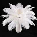 THARAHT White Ostrich Feathers 12pcs Natural Bulk 10-12Inch 25cm-30cm for Crafts Wedding Party Centerpieces Easter Gatsbi and Christmas Tree Decoration Feathers, White 