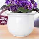Self Watering Planter Pot for African Violets, White Ceramic with Ruffled Edge, Indoor Plant Pot with Bottom Watering System