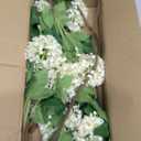 DILATATA Faux Hydrangea Flowers 31" Cream Artificial Hydrangea Spray with 5 Flower Heads, 3 Per Bag.Faux Hydrangeas Plastic Flowers Fake Hydrangeas for Indoor Outdoor Wedding Table Centerpieces Decor