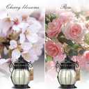 Scented Candles Gifts Set for Women, 2X 6 oz Aromatherapy Jar Candles for Home, Rosa & Cherry Blossom Soy Wax Long Lasting Retro Lantern Candles Perfect for Stress Relief Mum Yoga Bath Spa Christmas