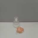 HAIZEEN 10 oz/300 ml Oil Dispenser Bottle/Glass Decanter and Cruet for Kitchen and Table