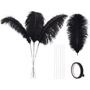 Ballinger Black Ostrich Feathers Bulk - Making Kit 10Pcs 28inch Large Ostrich Feathers for Floral Arrangement, Vase, Wedding Party Centerpieces and Halloween Home Decor Ballinger Black Ostrich Feathers Bulk - Making Kit 10Pcs 28inch Large Ostrich Feathers for Floral Arrangement, Vase, Wedding Party Centerpieces and Halloween Home Decor