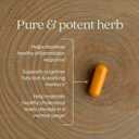 New Chapter One Daily Turmeric Supplement, 120 Count (EXP 03/07/29)