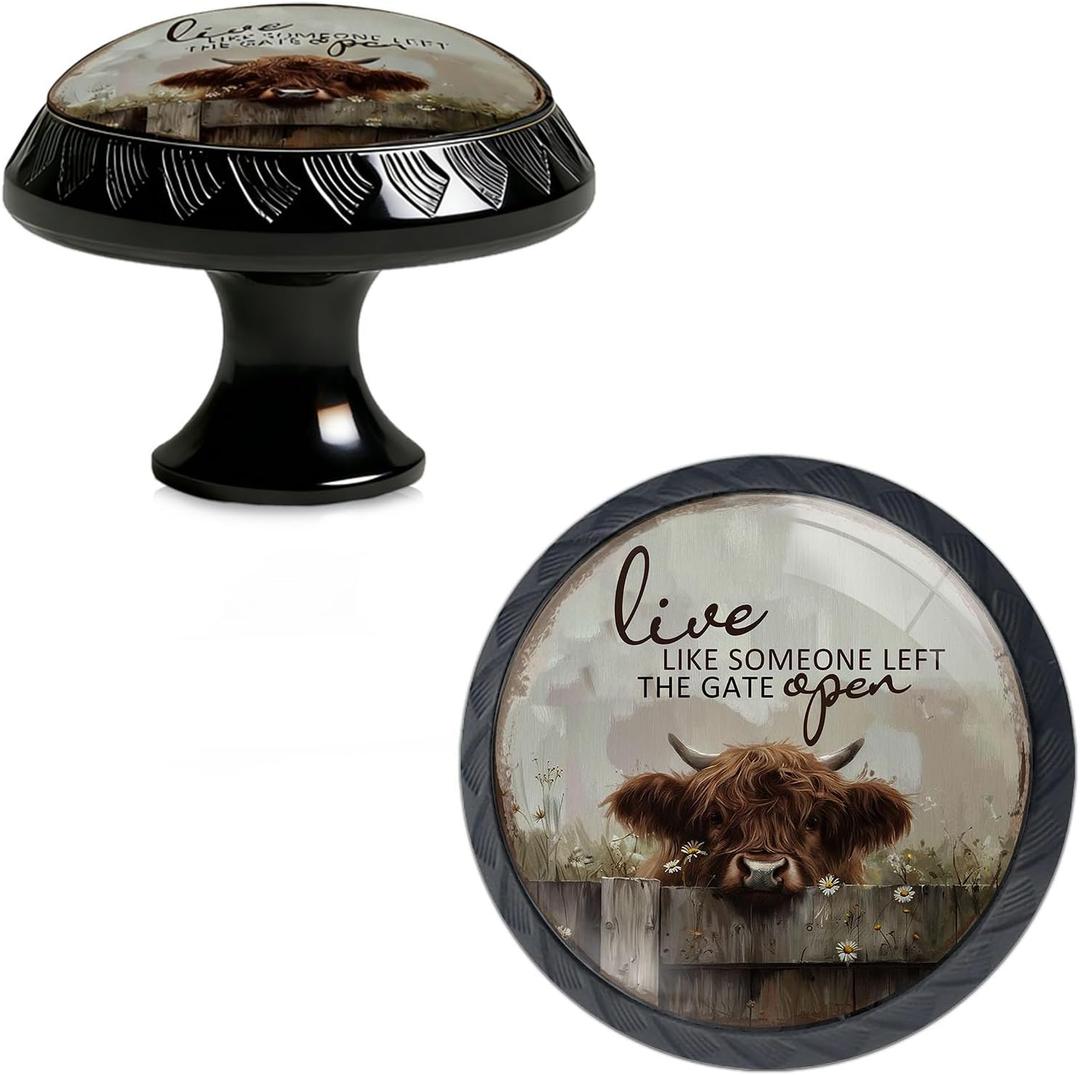 4 Pack Live Like Someone Left The Gate Open Funny Kitchen Cabinet Knobs Acrylic Round Drawer Pulls for Dresser Cupboard Door Handles