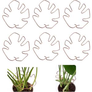 6PCS Monstera Plant Stem Support, Monstera Stabilizer Grapple Holder Unique Design for Turtle Shell Bamboo Clamp Set, Ideal Plant Support Stakes for Thriving Growth Indoor Climbing Plant (Copper)