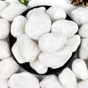 YISZM 5lb White Pebbles for Indoor Plants, 2-3 Inch Natural River Rocks, Snow White Decorative Stones, Ideal for Fish Tank, Vases, Crafting, Home Decor and Garden Landscaping Rocks