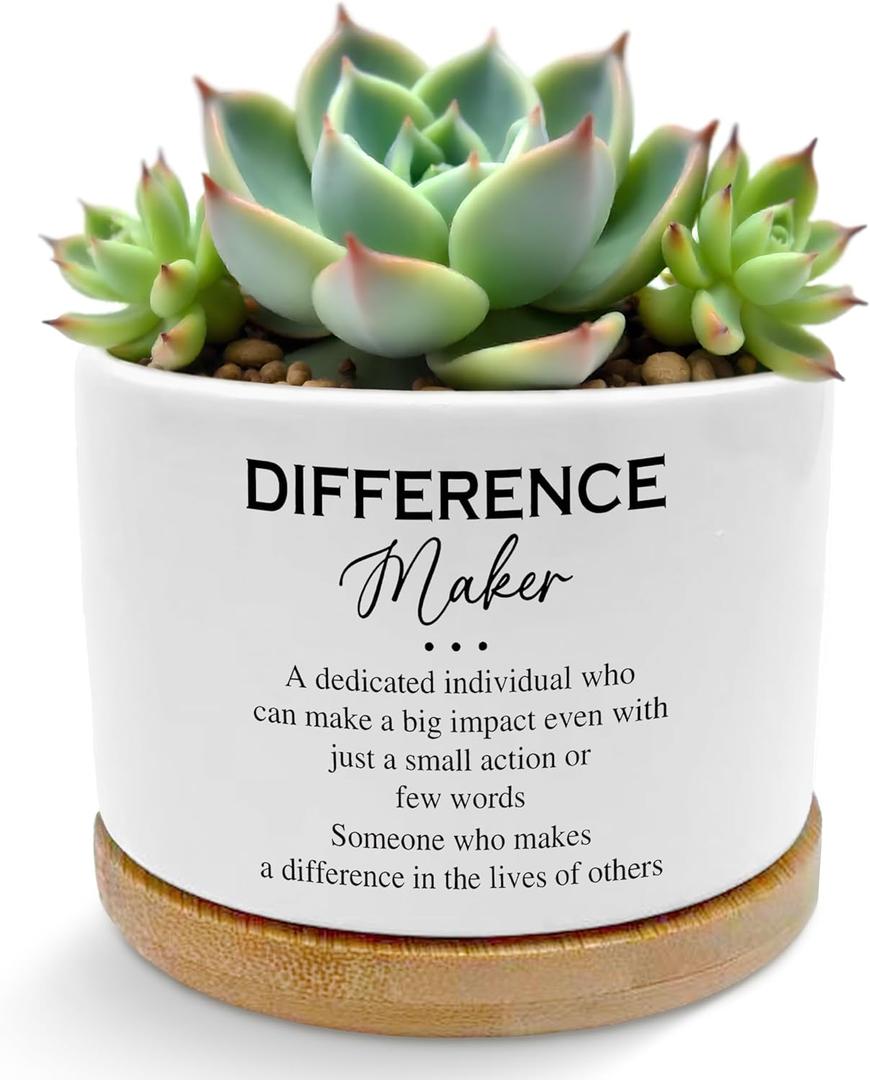 Difference Maker Gifts for Women Men Plant Pots, Appreciation Gifts for Coworker Teacher Boss Leader Succulent Planters, Ceramic Plant Flower Pots for Home Office Desk Table Shelf(No Plants)