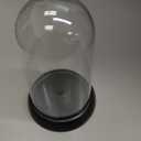 Zhengmy 12 Pieces Plastic Dome Display Case Display Cloche Dome Cloche Bell Jar with Base Clear Cloche Dome Decoration Case for Collectibles Rose Office Home Tabletop Centerpiece Decoration(Oval)