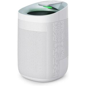 1000ml Dehumidifier w/Air Purifying Function, True HEPA Filter, Auto Shut off, Ultra-Quiet, Ideal for RV Closets Bathrooms Q9 1 Filter